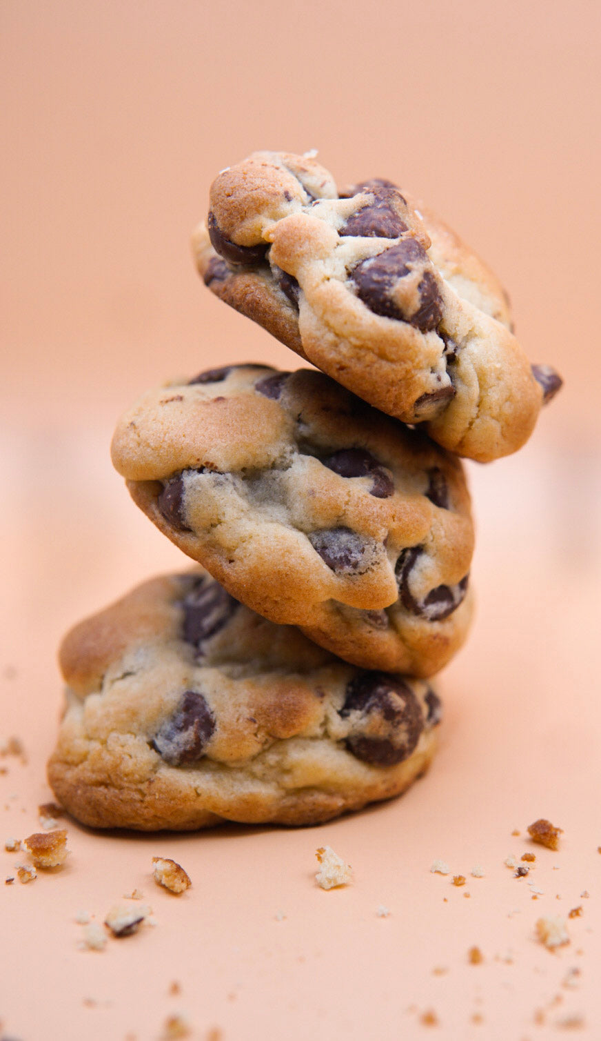 Double Chocolate Chip Cookie